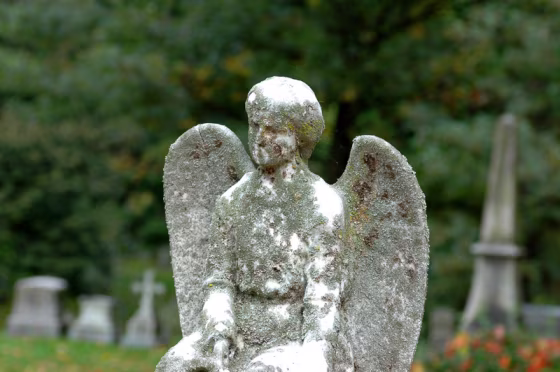 Image: Mt. Auburn in Cambridge, Mass.